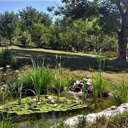 In Bunjevci With Sauna & Garden