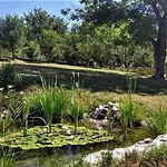 In Bunjevci With Sauna & Garden