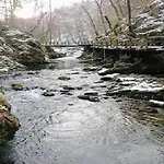 In Bunjevci With Sauna & Garden