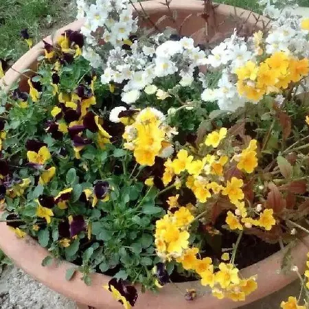 Comfy Holiday In Bunjevci With Hot Tub *