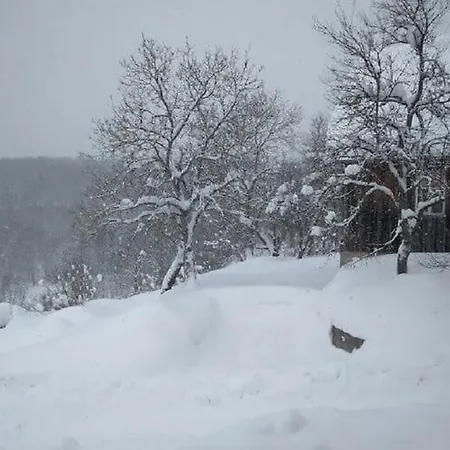Holiday home Comfy Holiday In Bunjevci With Hot Tub