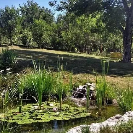 Comfy Holiday In Bunjevci With Hot Tub Holiday home *