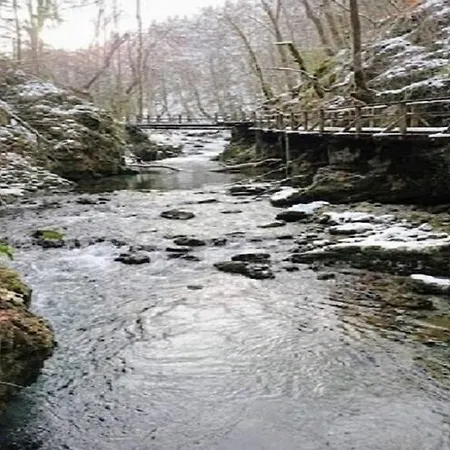 In Bunjevci With Sauna & Garden