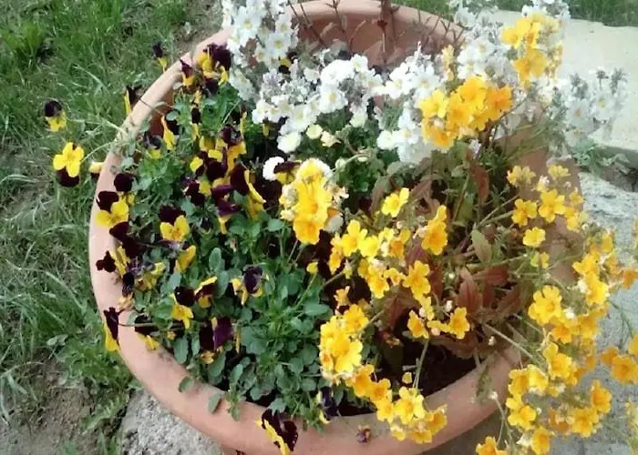In Bunjevci With Sauna & Garden *