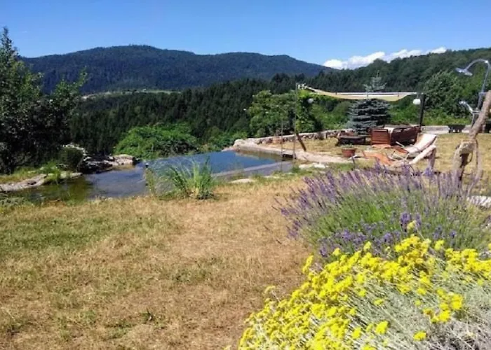 Сasa de vacaciones In Bunjevci With Sauna & Garden *